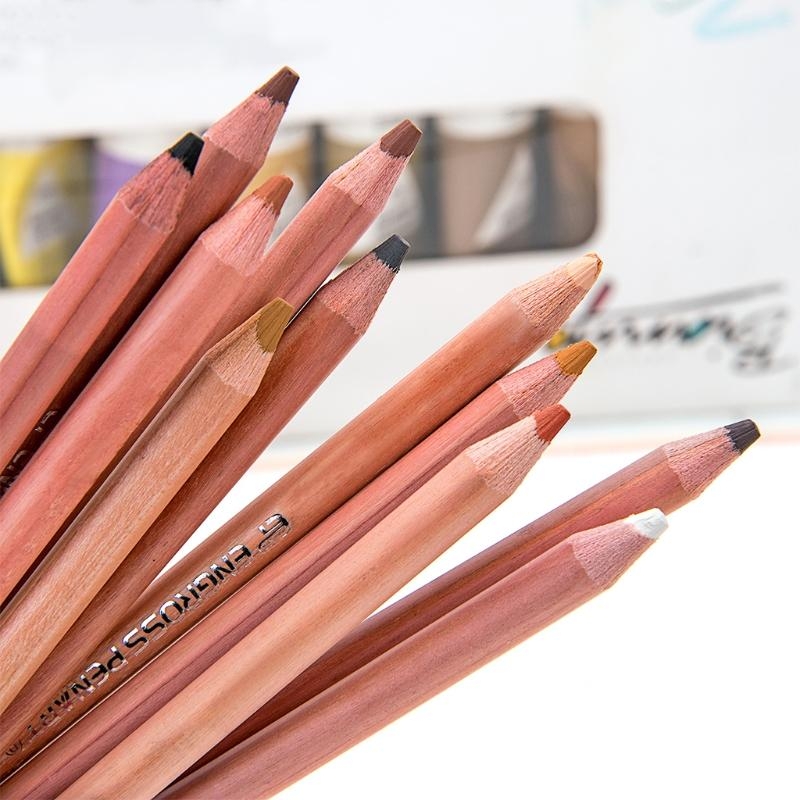 12개입 전문가용 소프트 파스텔 연필 피부색 파스텔 색 - Colored Pencil Professional 리뷰 및 가격