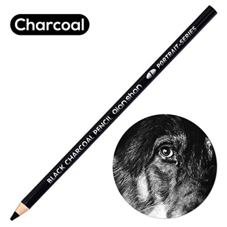 2개입 흑백 색상 숯 연필, 전문가용 고품질 스케치 하 - Colored Pencil Professional 리뷰 및 가격