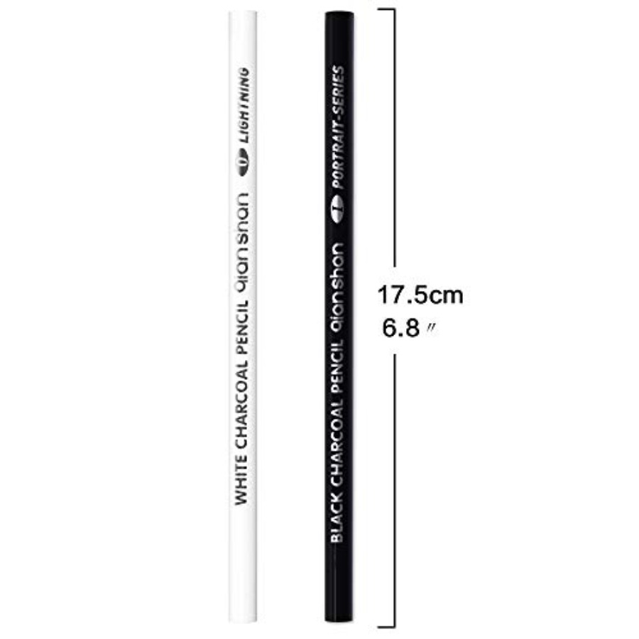 2개입 흑백 색상 숯 연필, 전문가용 고품질 스케치 하 - Colored Pencil Professional 리뷰 및 가격